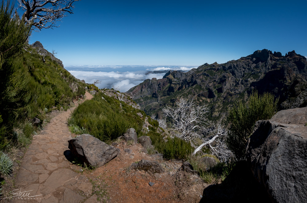 Madeira [47] – der Weg