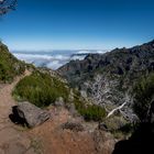 Madeira [47] – der Weg