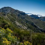 Madeira [49] – Blick zurück