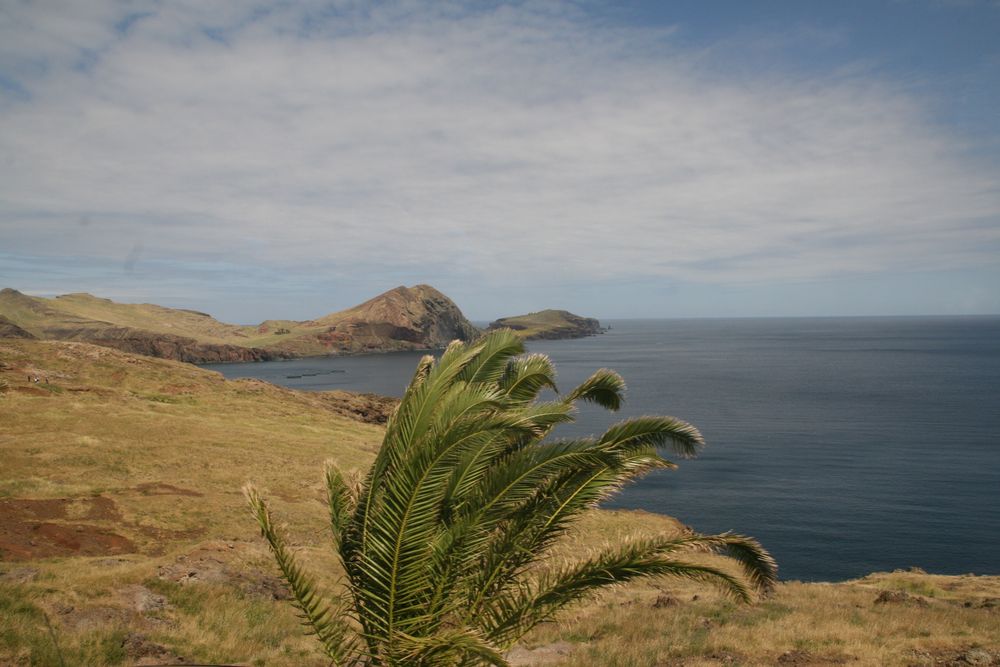 Madeira