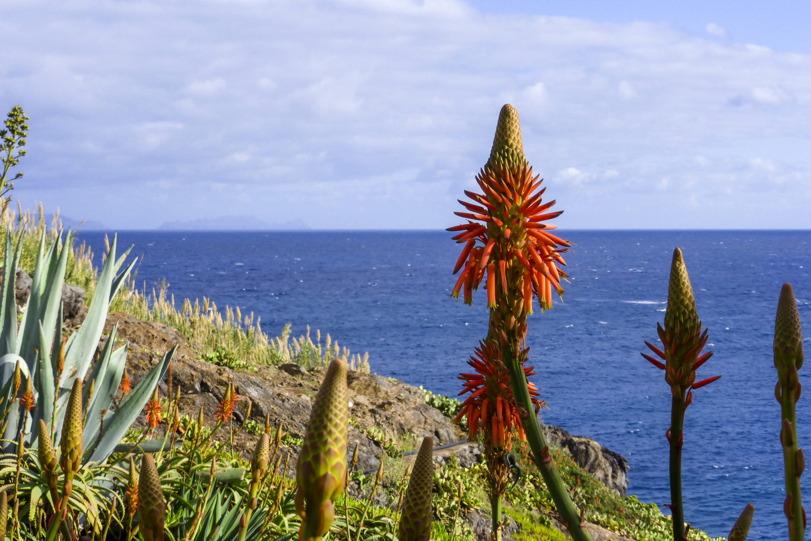 Madeira 