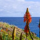 Madeira 