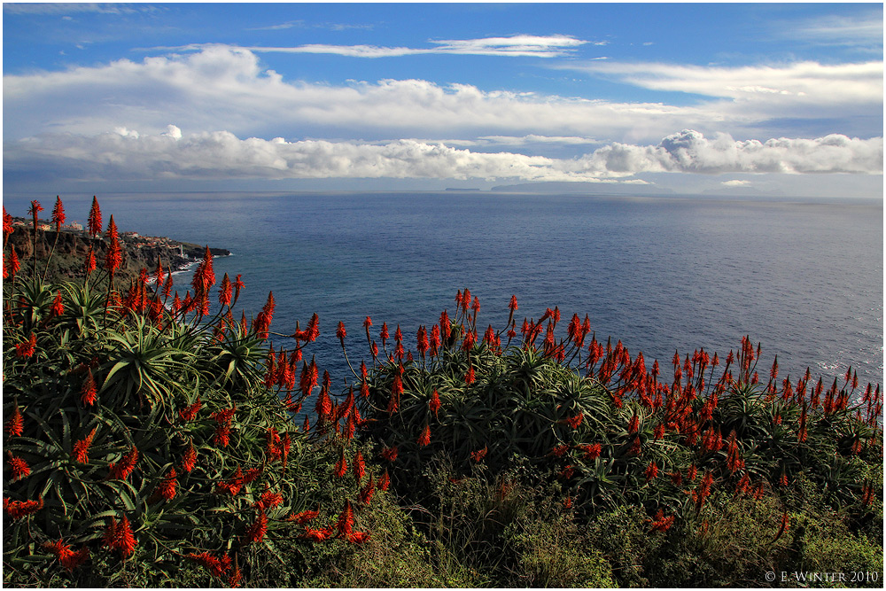 MADEIRA