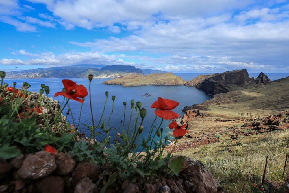 Madeira (6)