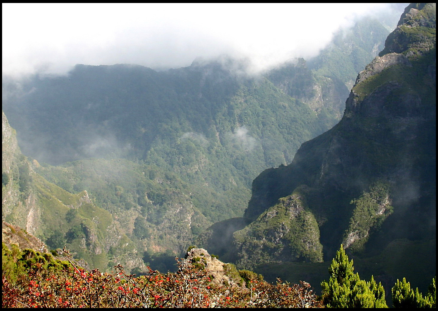 Madeira