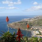 Madeira