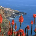 Madeira