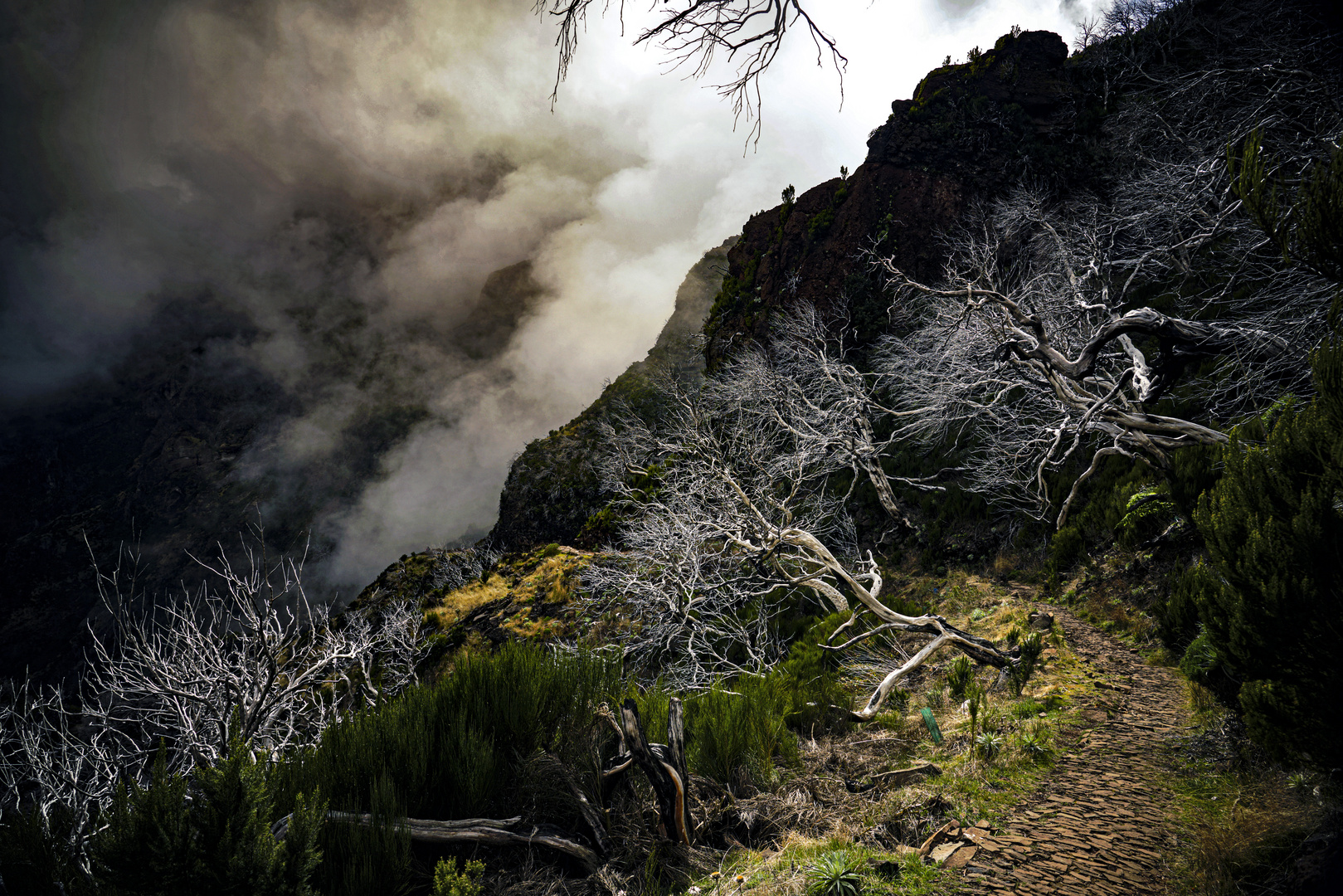 Madeira