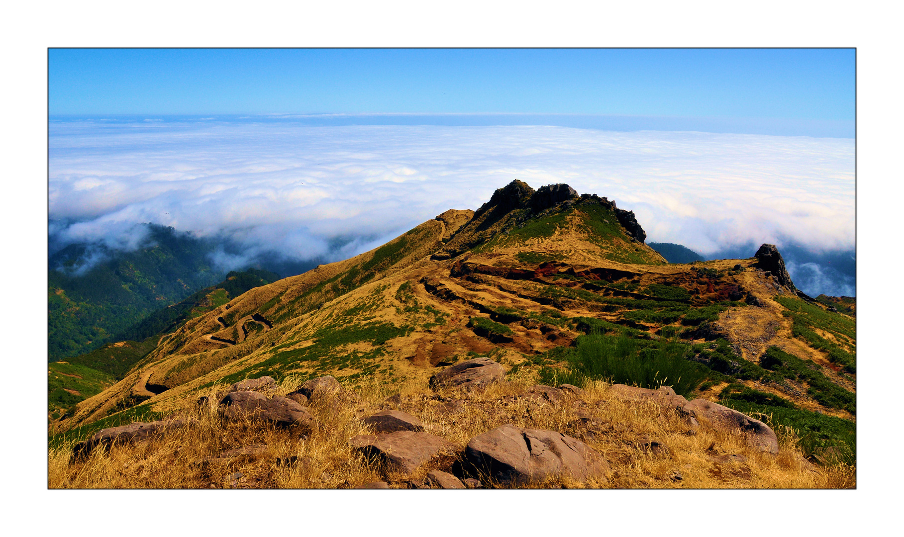 Madeira