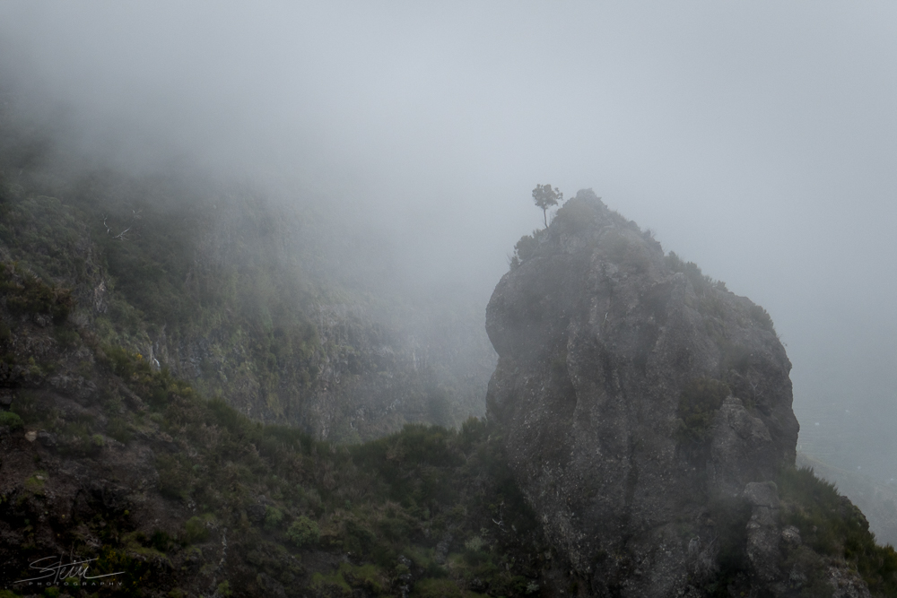 Madeira [8] – Rock