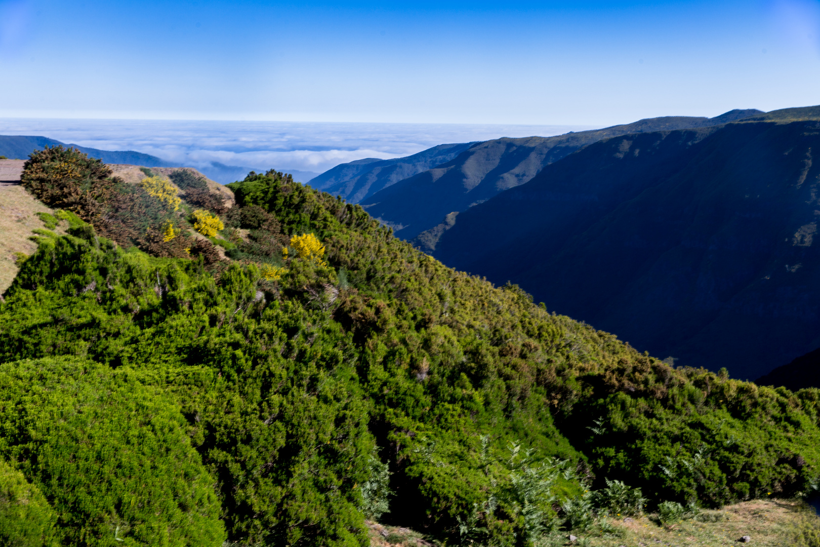 Madeira