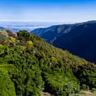 Madeira