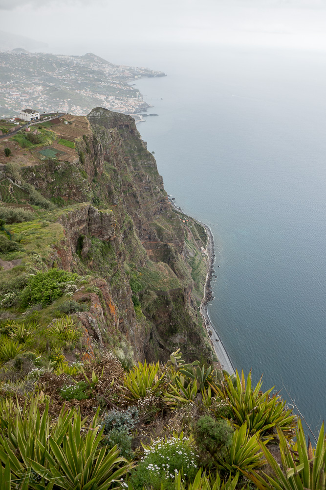 Madeira [9] – Klippe