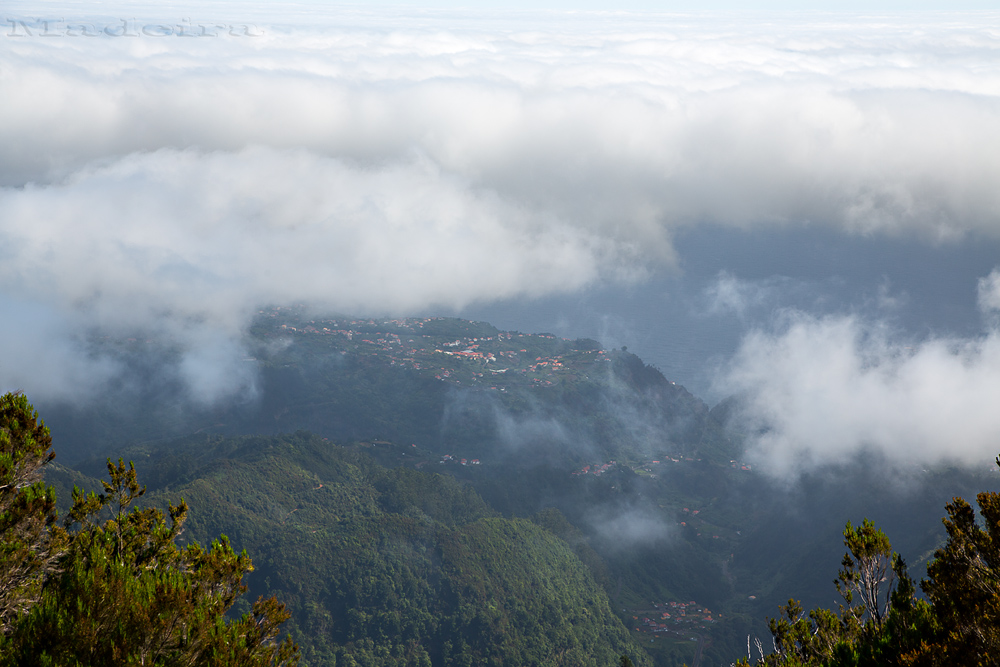 Madeira