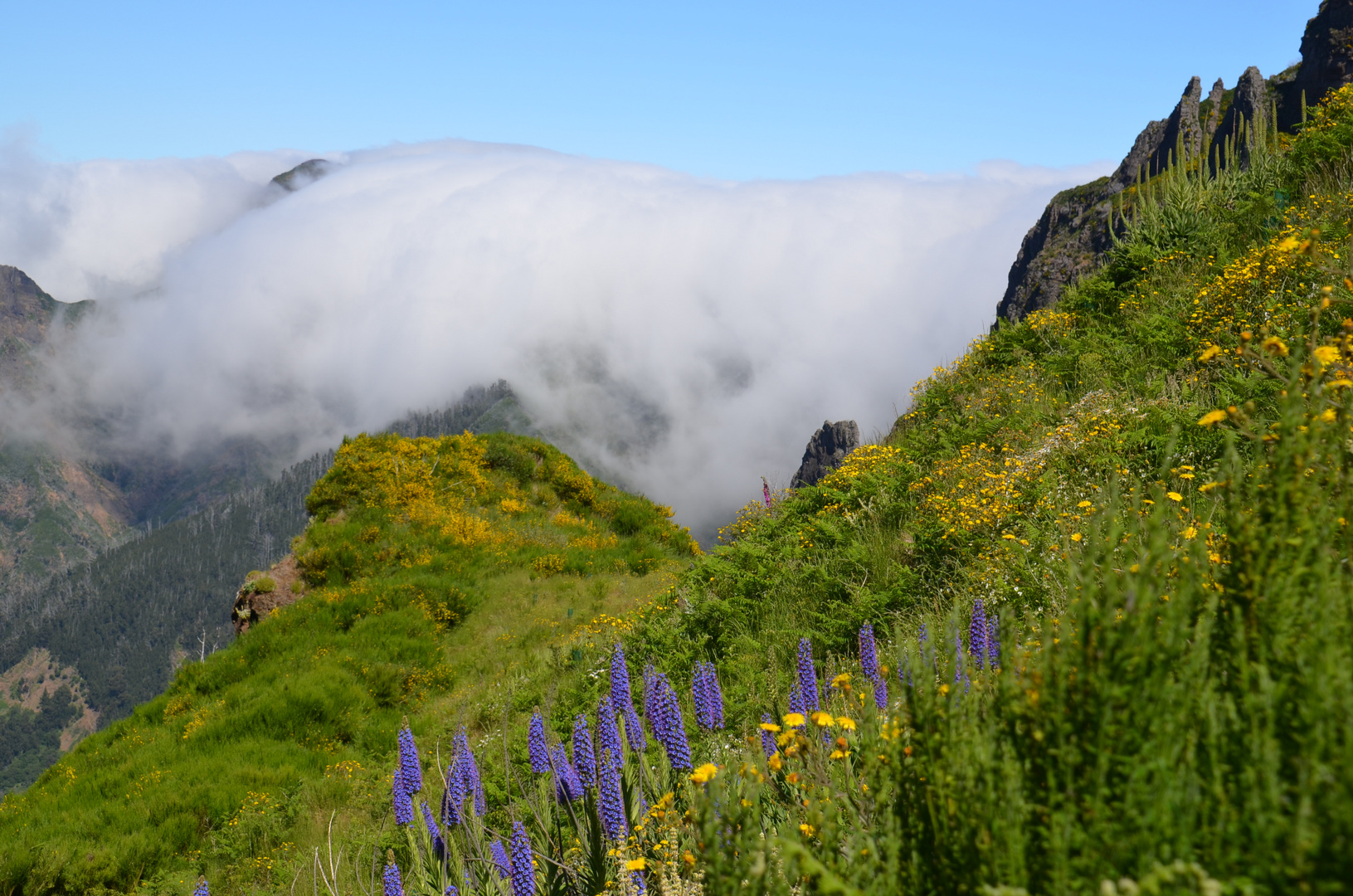 Madeira