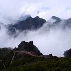 Madeira - Am Pico Ruivo