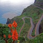 Madeira