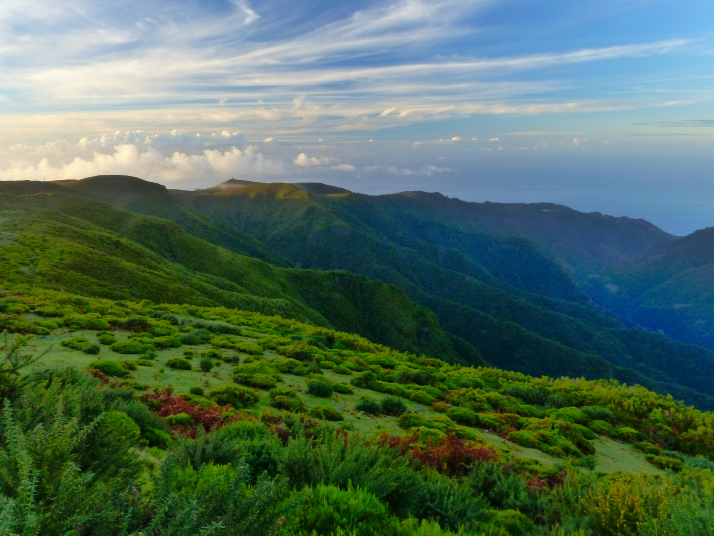 Madeira