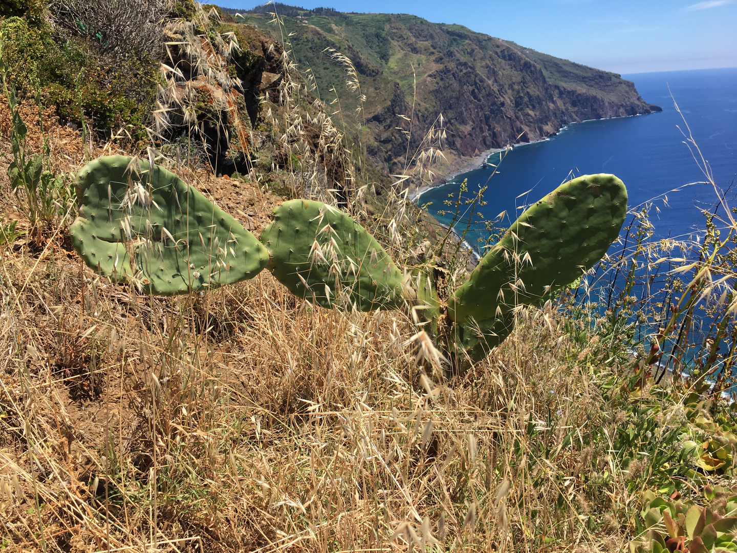 Madeira