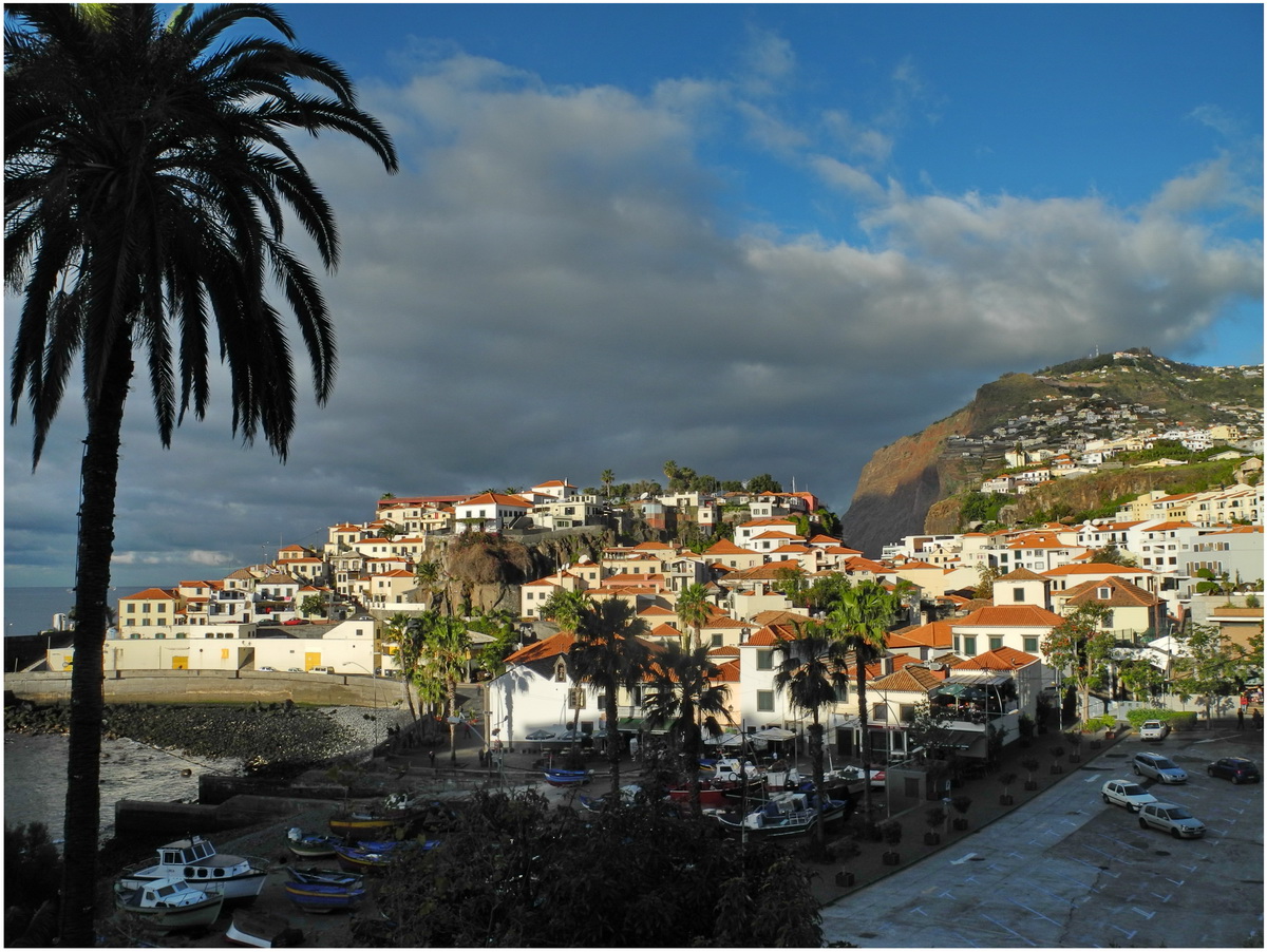 °madeira°