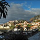 °madeira°