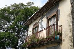 Madeira Balkon