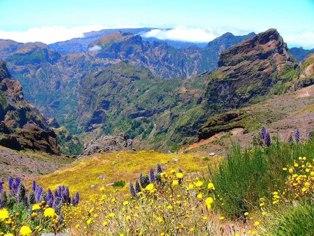 Madeira Berg- & Pflanzenwelt