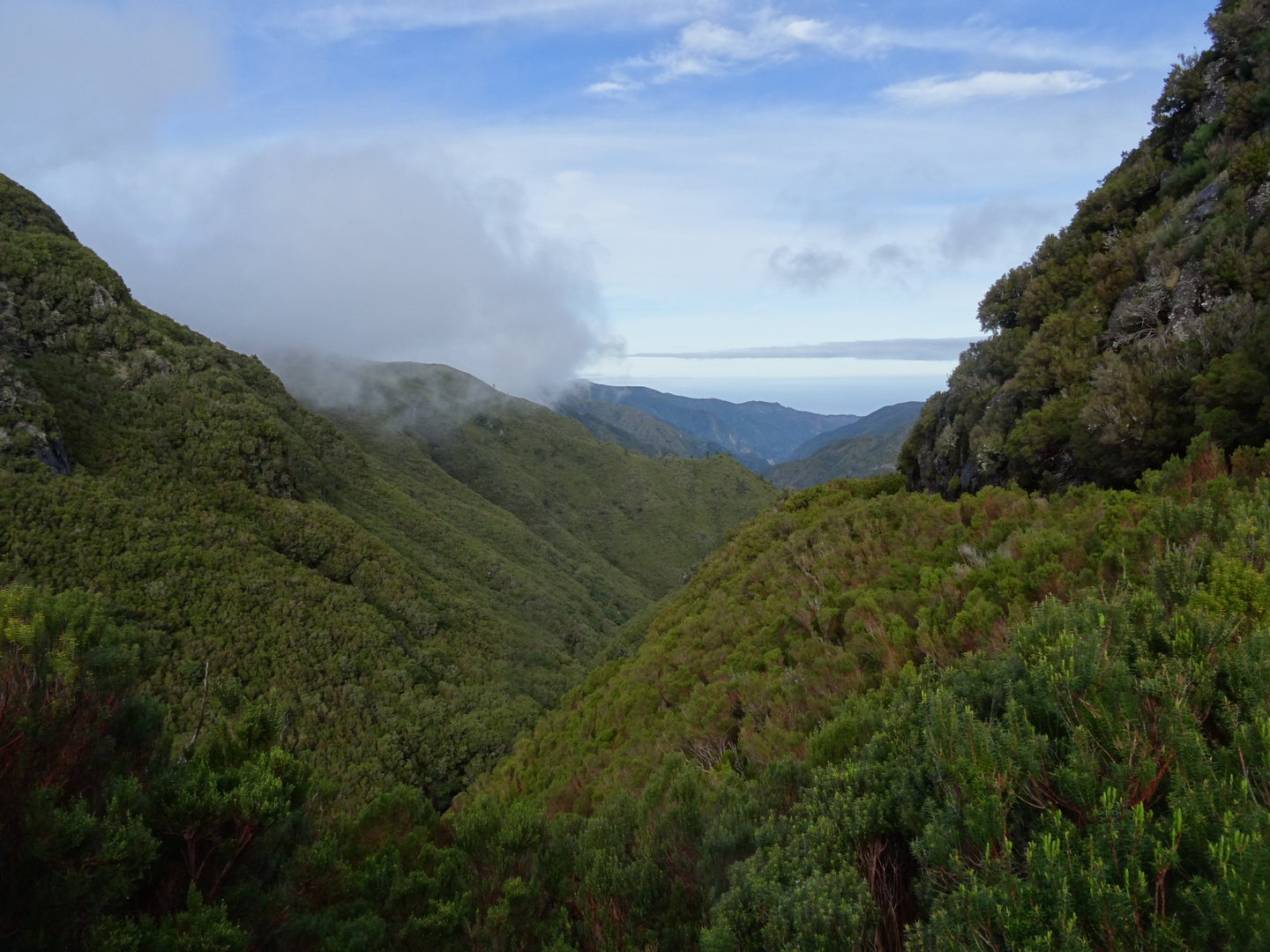 madeira berge