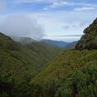 madeira berge