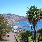 Madeira - Blick auf Funchal - Hafen