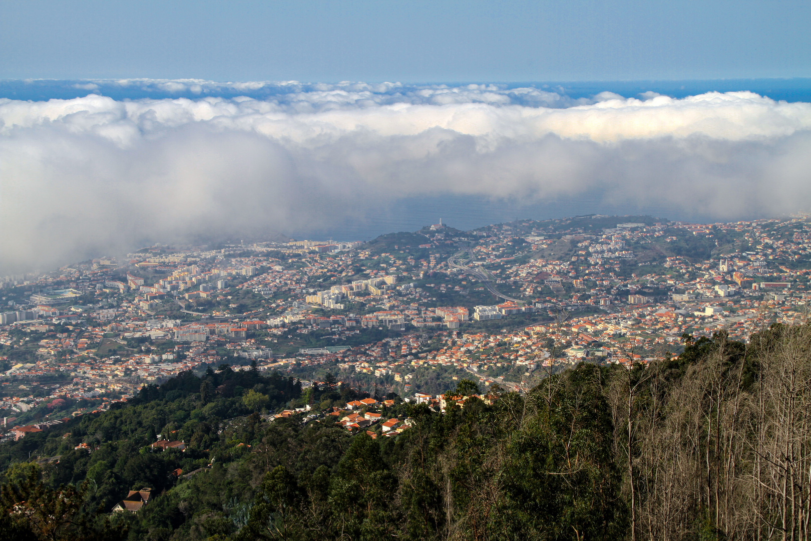 Madeira - Blick über Funchal