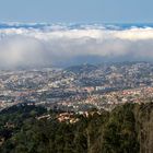 Madeira - Blick über Funchal