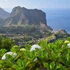 Madeira - Blumeninsel