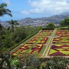 Madeira Botanischer Garten