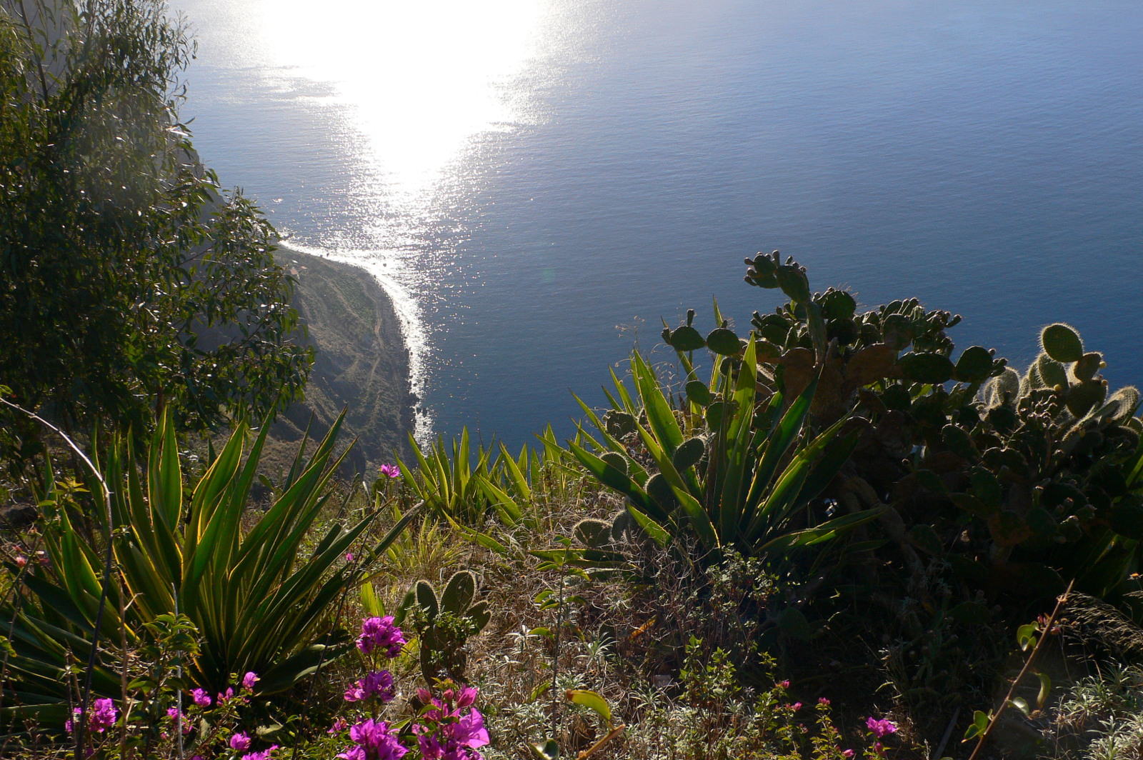 Madeira - Cabo Girao, der Gipfel Europas