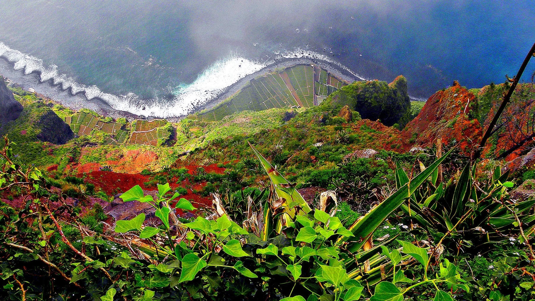 Madeira, Cabo Girao (highest cliff in Europe)