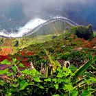 Madeira, Cabo Girao (highest cliff in Europe)