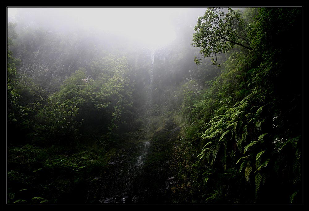 madeira (Caldeirao do Inferno)