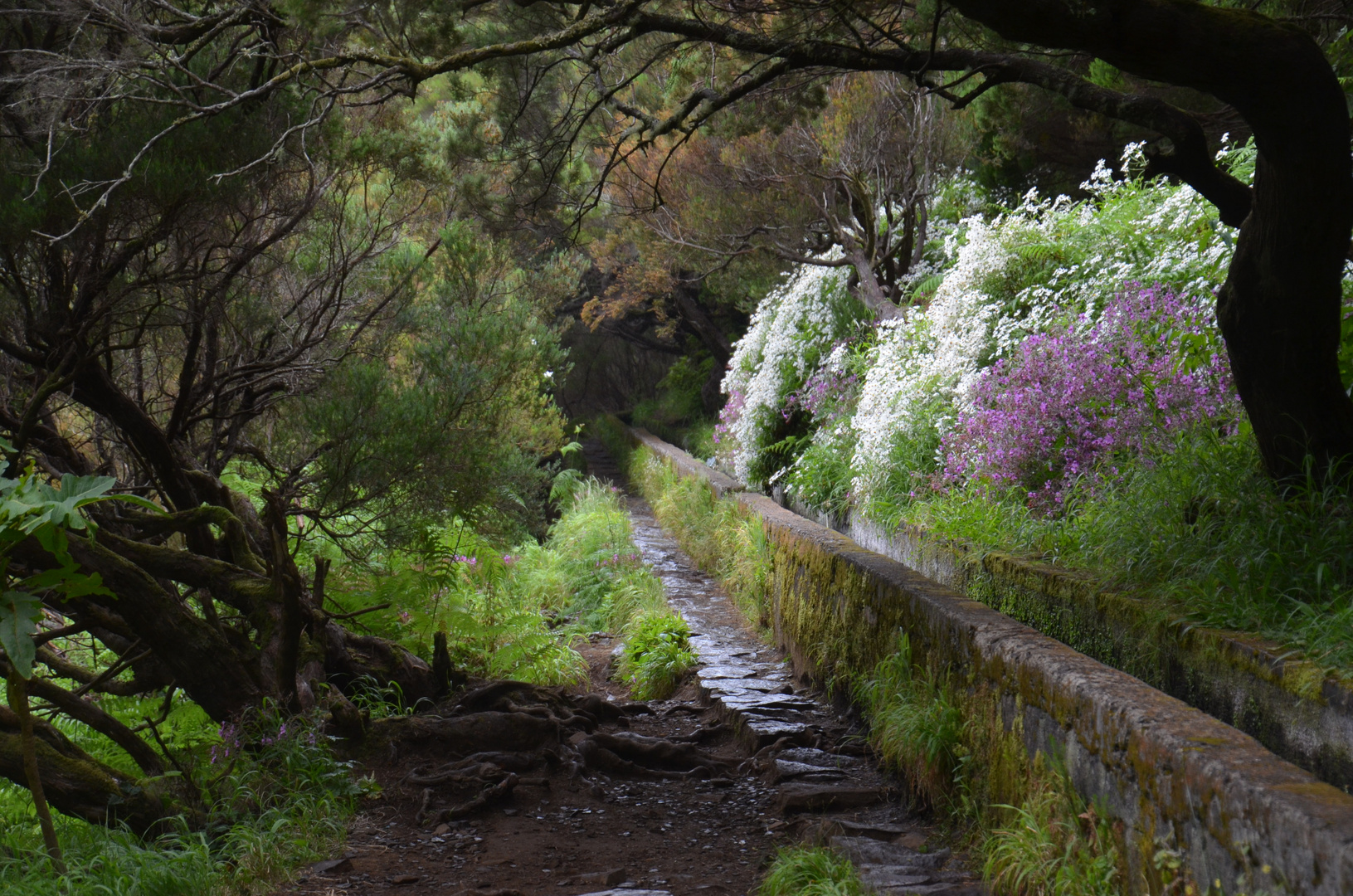 Madeira