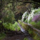 Madeira