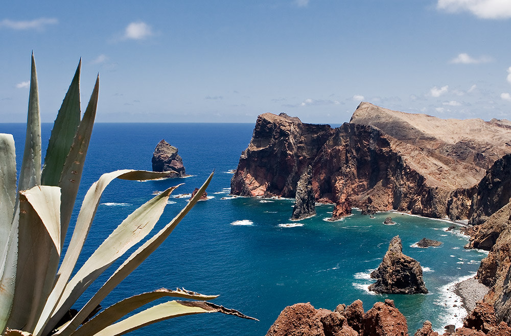 Madeira Cliffs