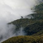 Madeira * Cloudscape
