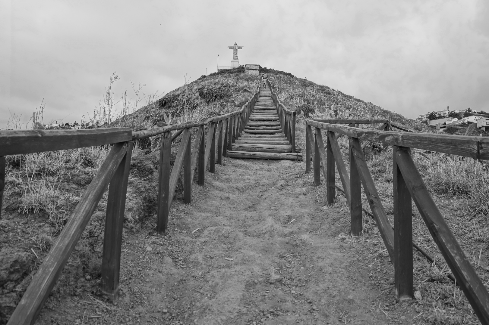 Madeira Cristo