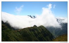 Madeira.