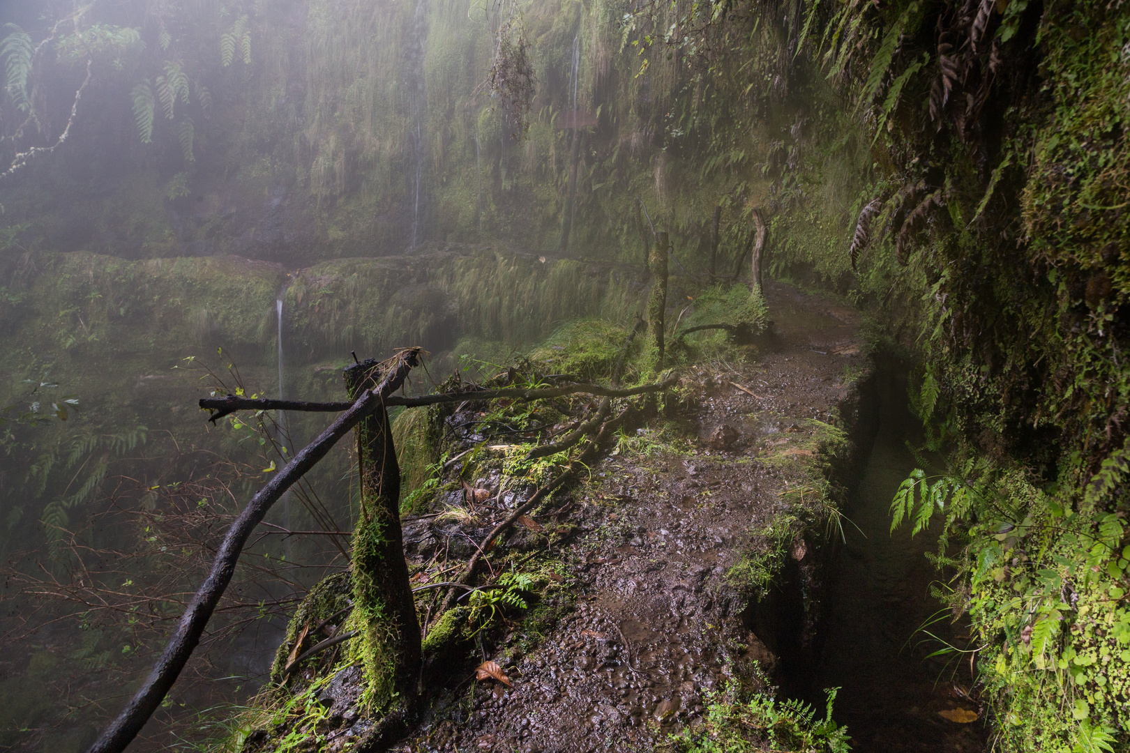 Madeira - der Weg in die grüne Hölle