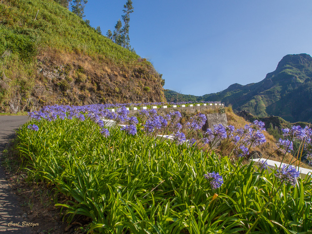 Madeira die Blumeninsel