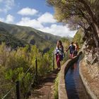 Madeira - die Insel der Levadas