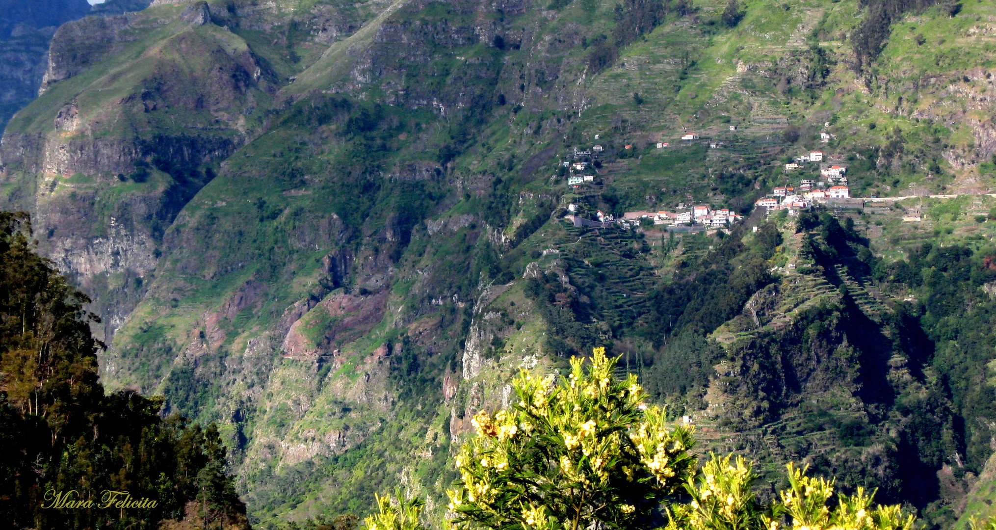 MADEIRA - du Mächtige!