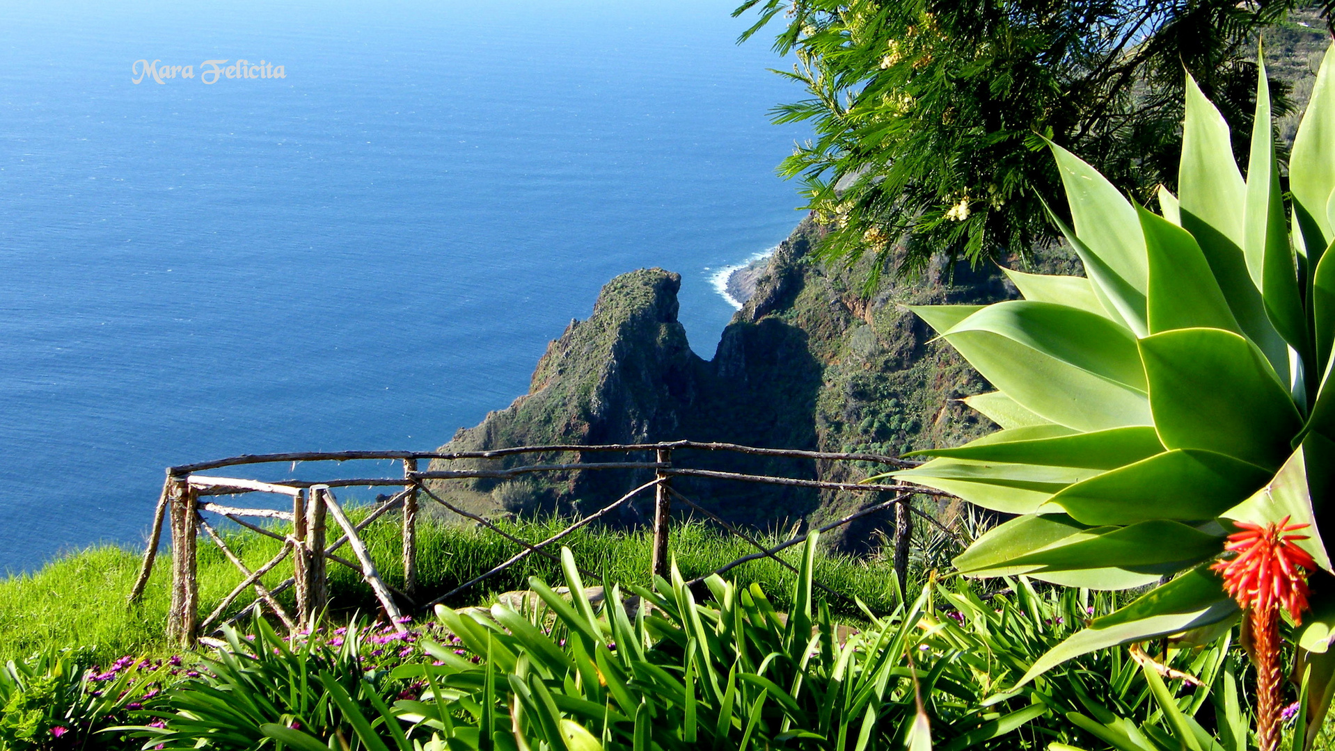 MADEIRA - du Schöne!