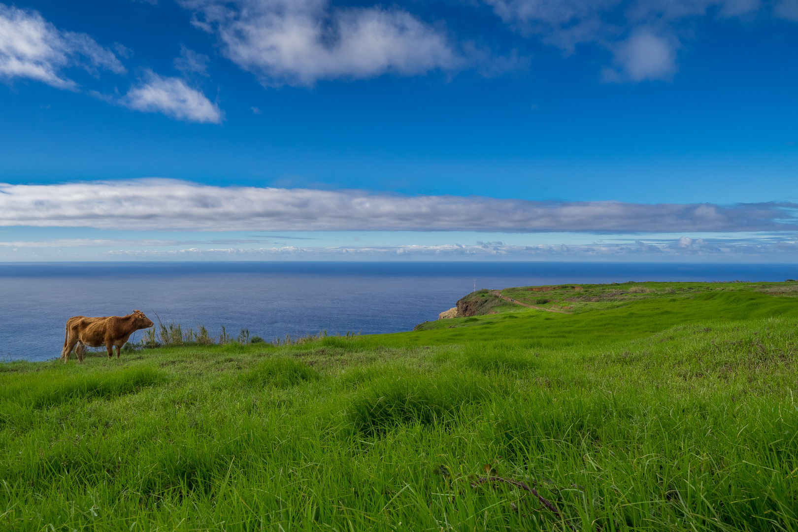 Madeira